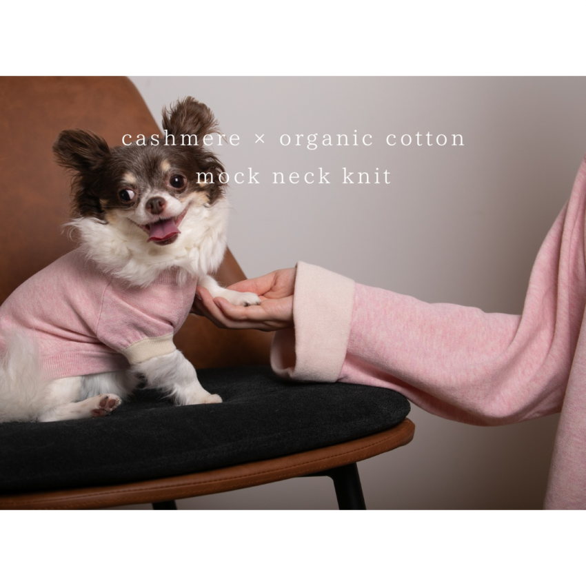 with dogapparel 5