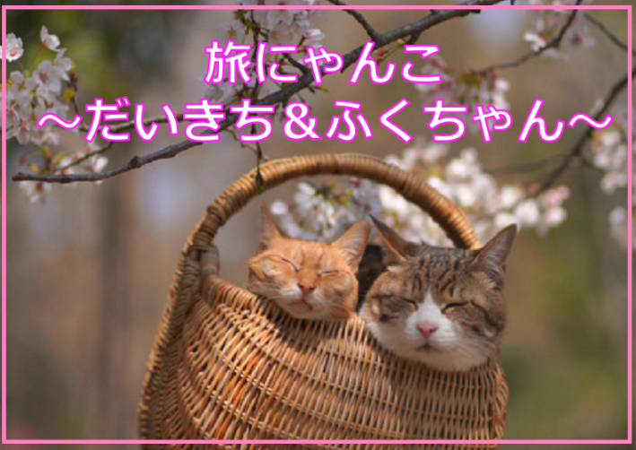 旅にゃんこ　～だいきち＆ふくちゃん～